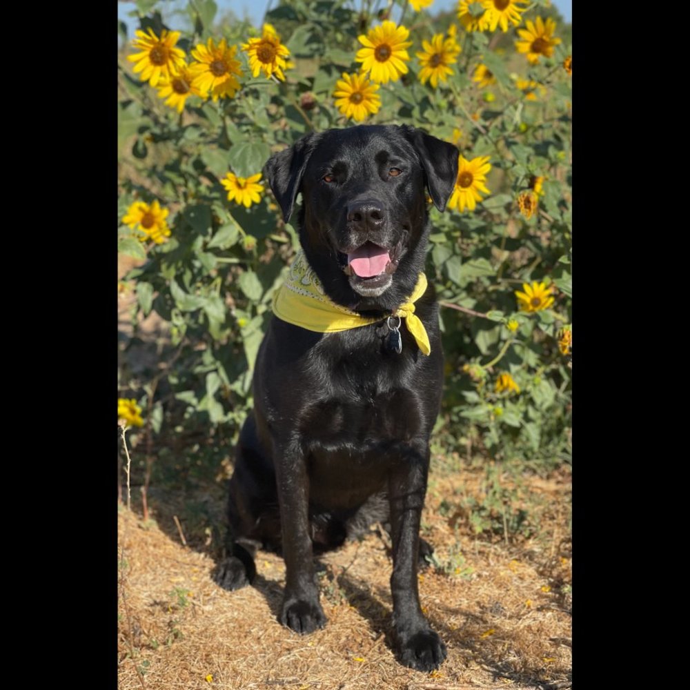 Hello Friends! - Picture 11 of 15